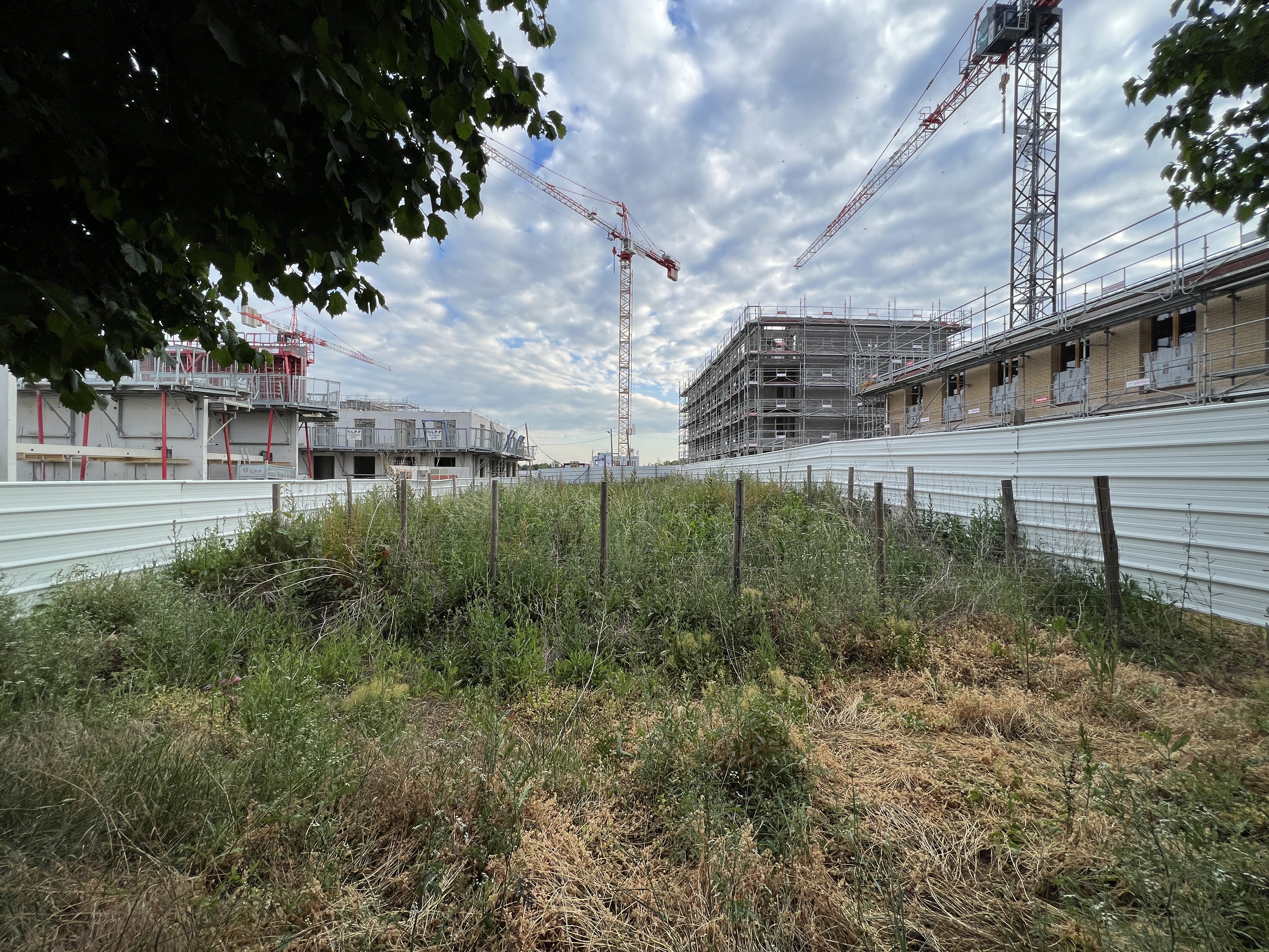 Façade de chantier avec échafaudage et isolant